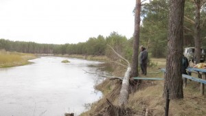 Чернобыль 2015