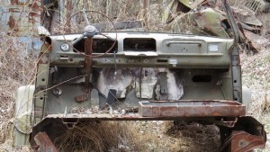 Чернобыль 2015