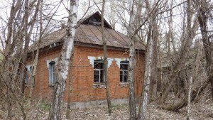 Чернобыль 2015