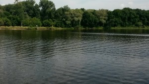 Беларусь 2014