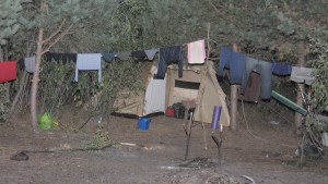 Беларусь 2014