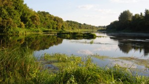 Беларусь_2014