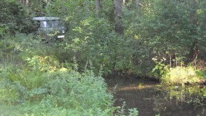 Беларусь 2014